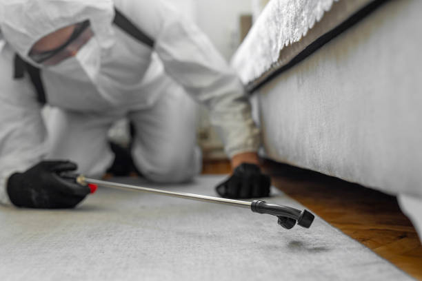Professional Bed Bug Control technician working in Hurricane, WV