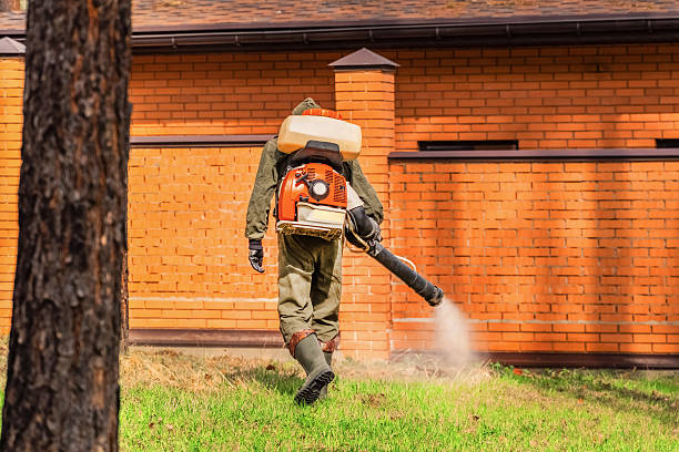 Top rated local Bed Bug Control specialists in Hurricane, WV
